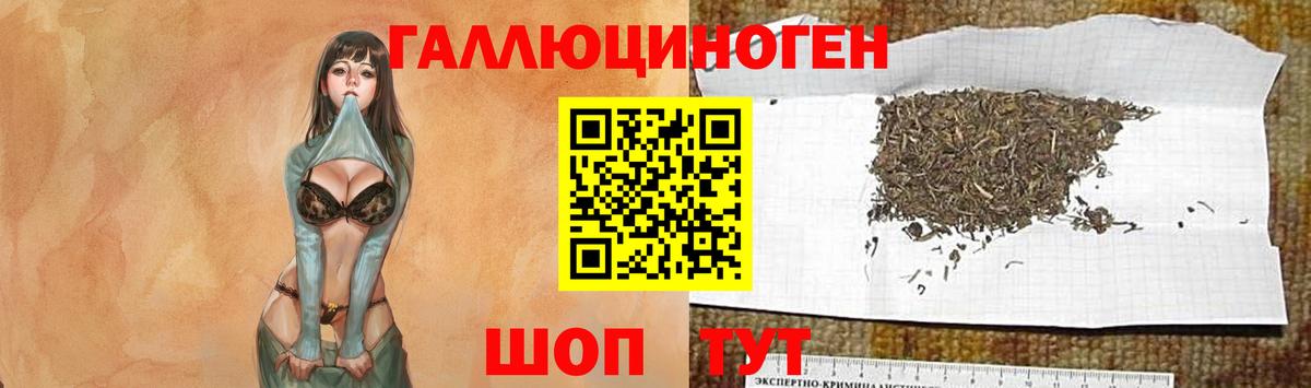 Галлюциногенные грибы GOLDEN TEACHER  Псилоцибиновые грибы Cubensis  Вход с VPN  Бутурлиновка 